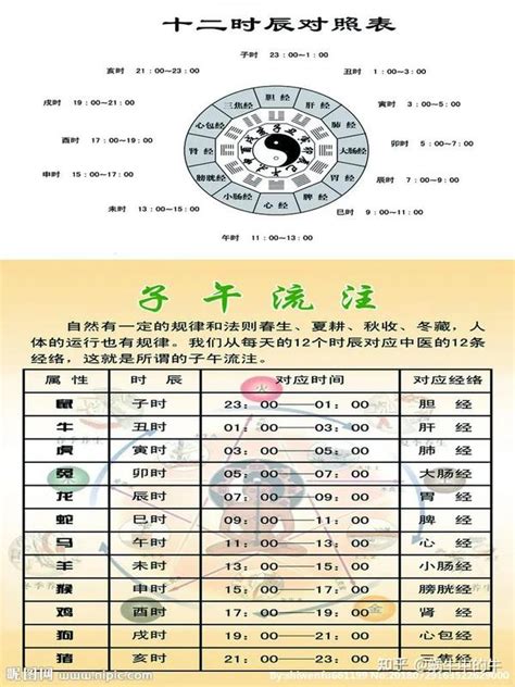 天干地支時間表|天支地支 十二时辰对照表